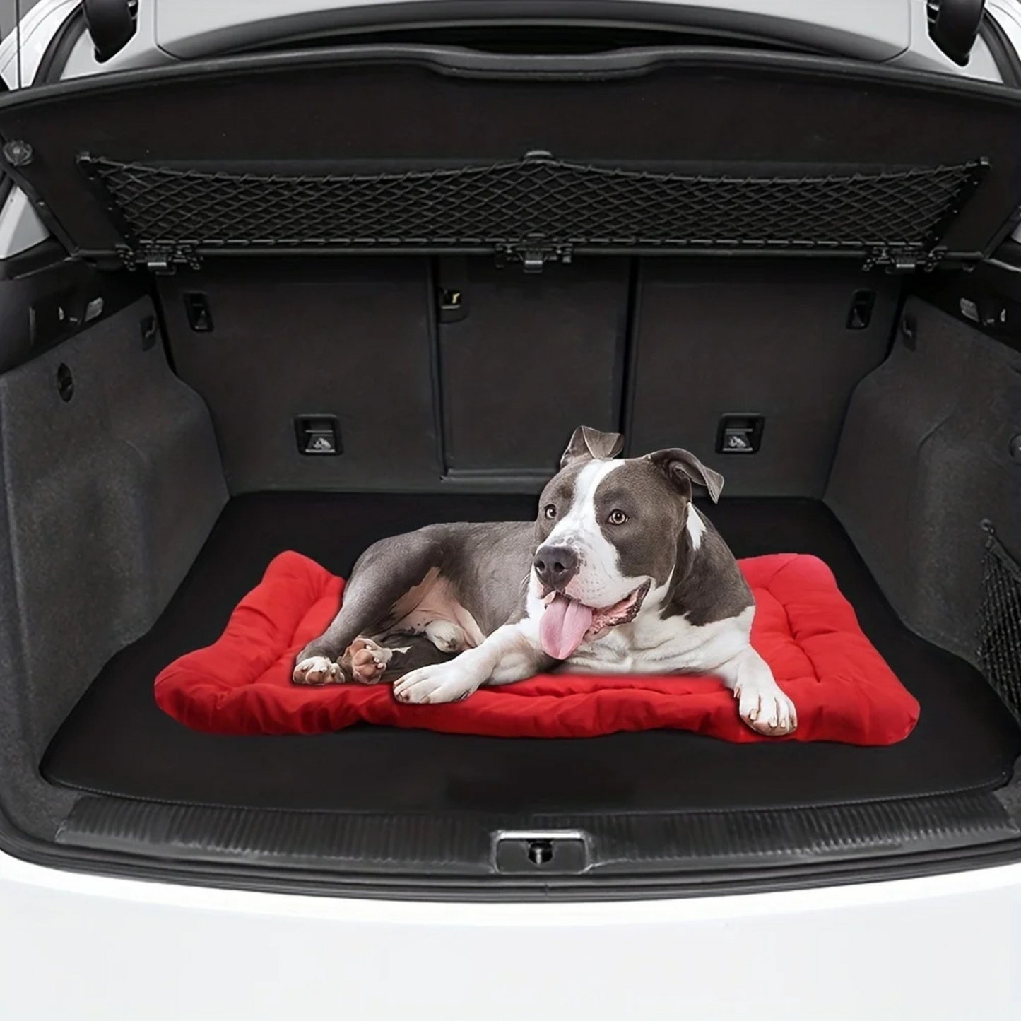 AbenteuerPfote – Die vielseitige Hundedecke für unterwegs & zuhause