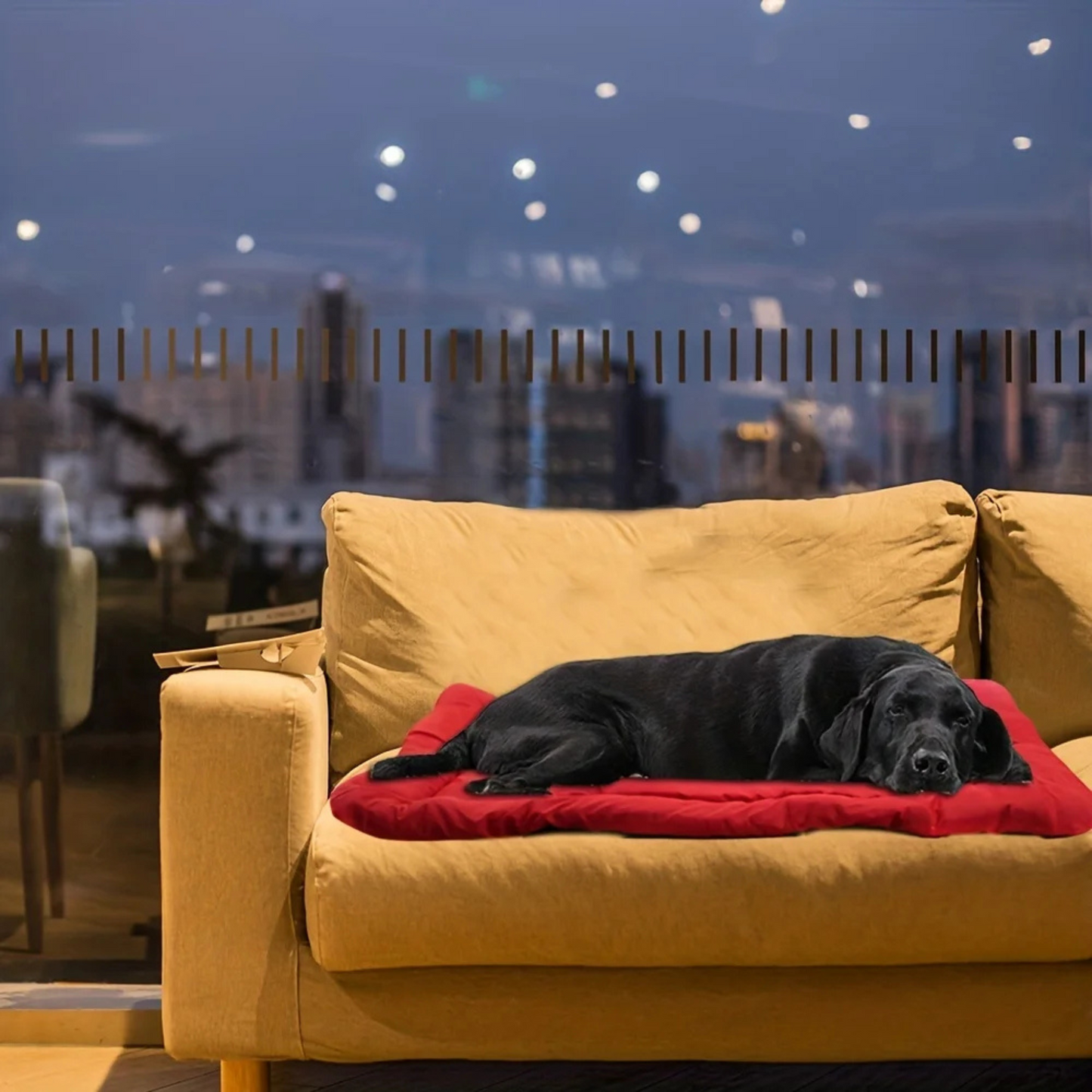 AbenteuerPfote – Die vielseitige Hundedecke für unterwegs & zuhause